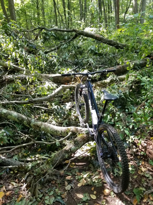 20230917_132827.jpg