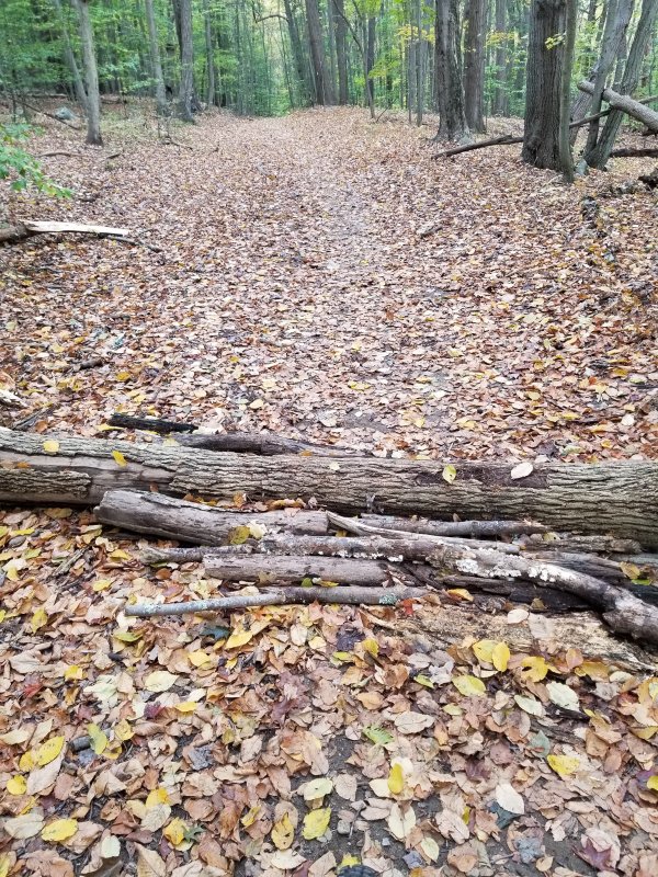 20231019_122510.jpg