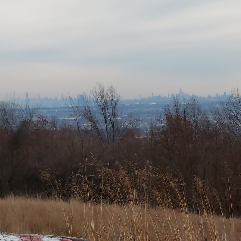 20241117_152605.jpg