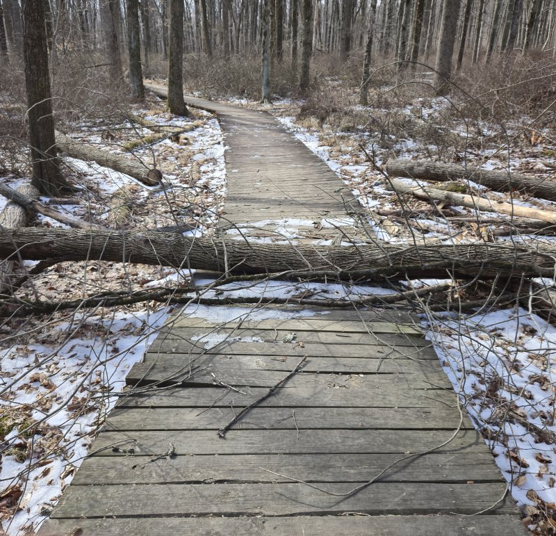 2025-02-18 10.31.29.jpg