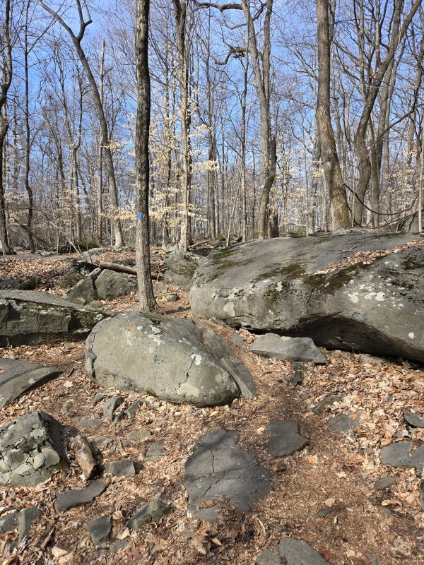 2025-04-02 10.12.38.jpg