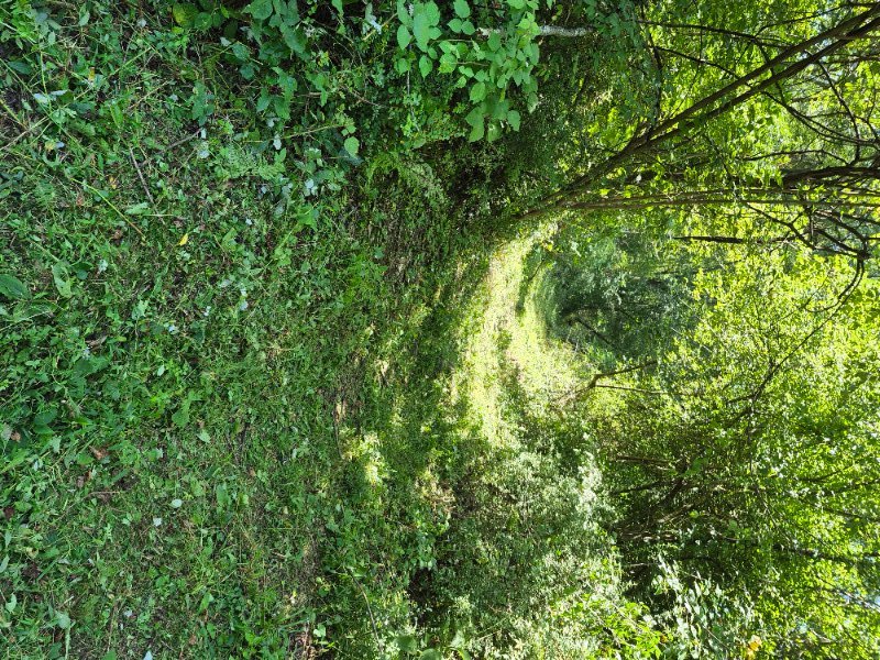 20250809_115323.jpg