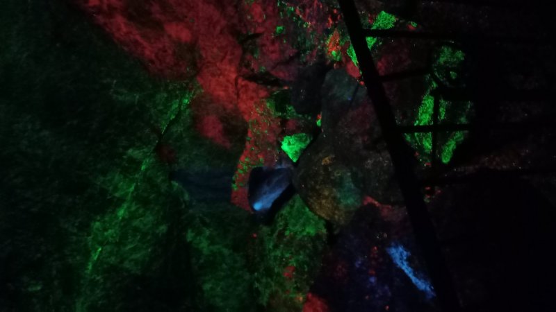 20250825_140933.jpg
