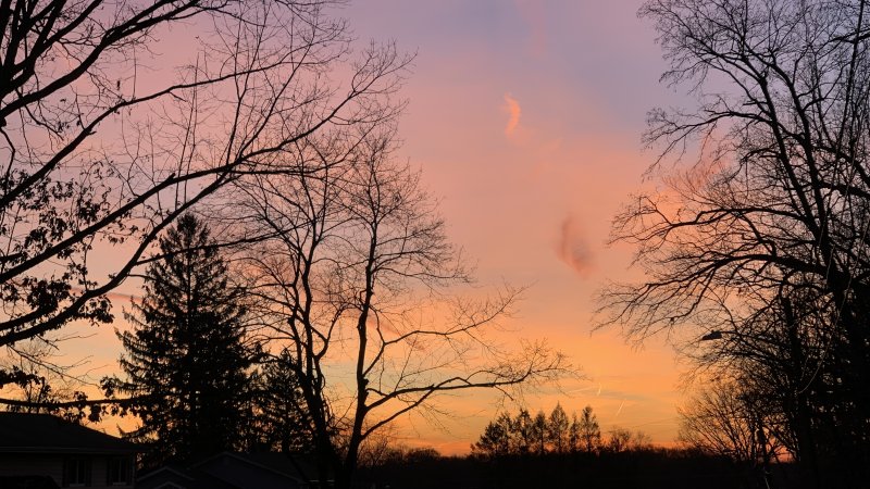 3CC5AE94-145E-47BD-87F2-3640D86211D9.jpeg