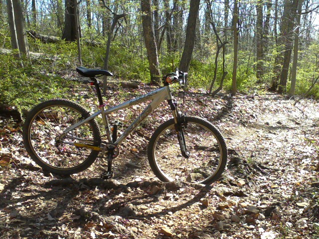 4-20-16-hardssatrezonhill1.jpg