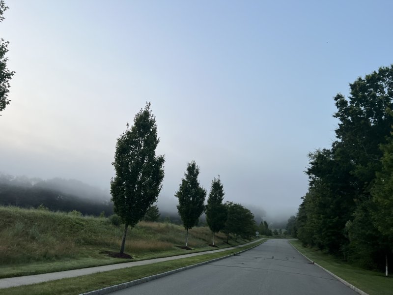 56FCA316-CD1F-4230-9AB6-B0B66F110141.jpeg