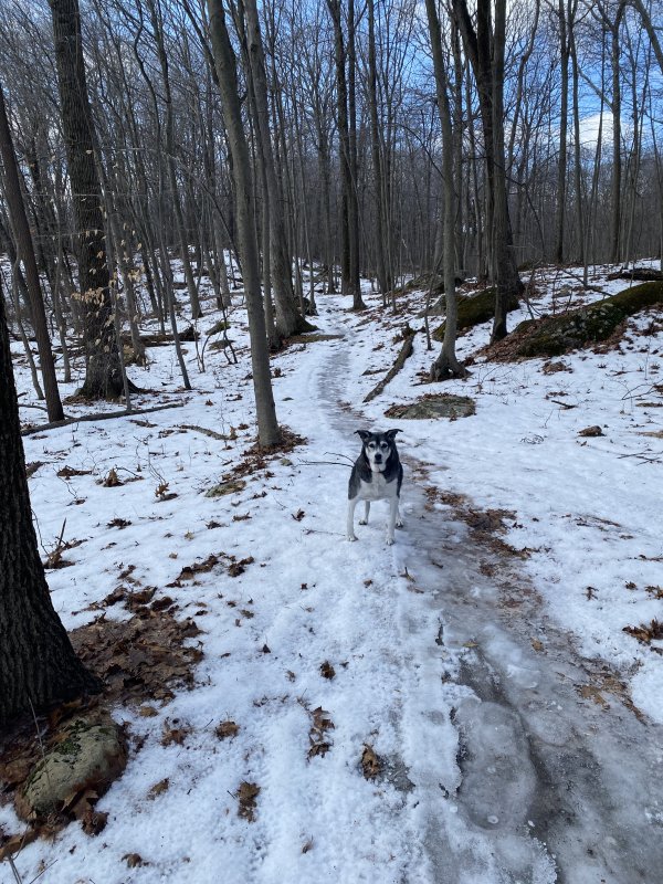 9c8899ad-94a6-4b40-973d-bd3f3b21b6bb-jpeg.177945