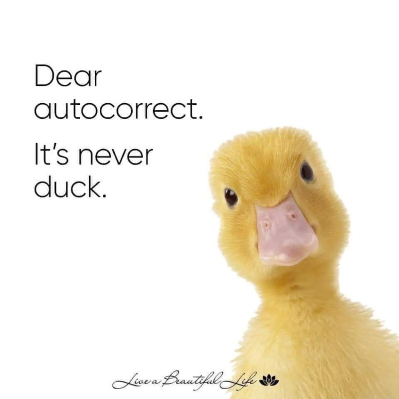AutoCorrectNeverDuck.jpg