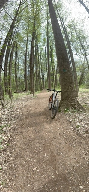 Bike1.jpg