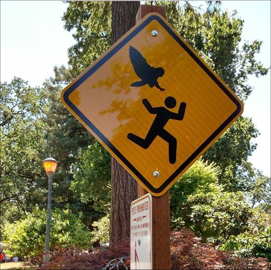 bird sign.jpg