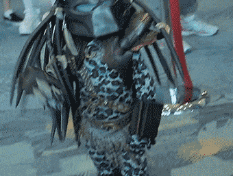 Child+predator+you+are+one+adorable+motherfucker_a9d522_5236885.gif
