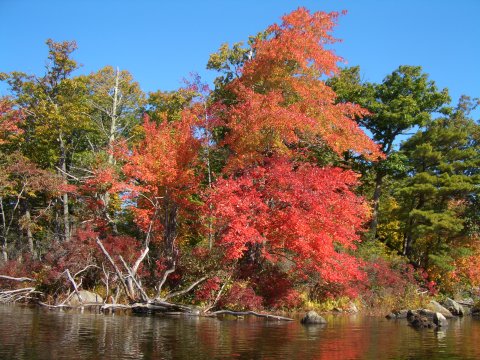 Cimg0093.jpg