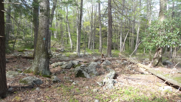 Clinton West right02.jpg