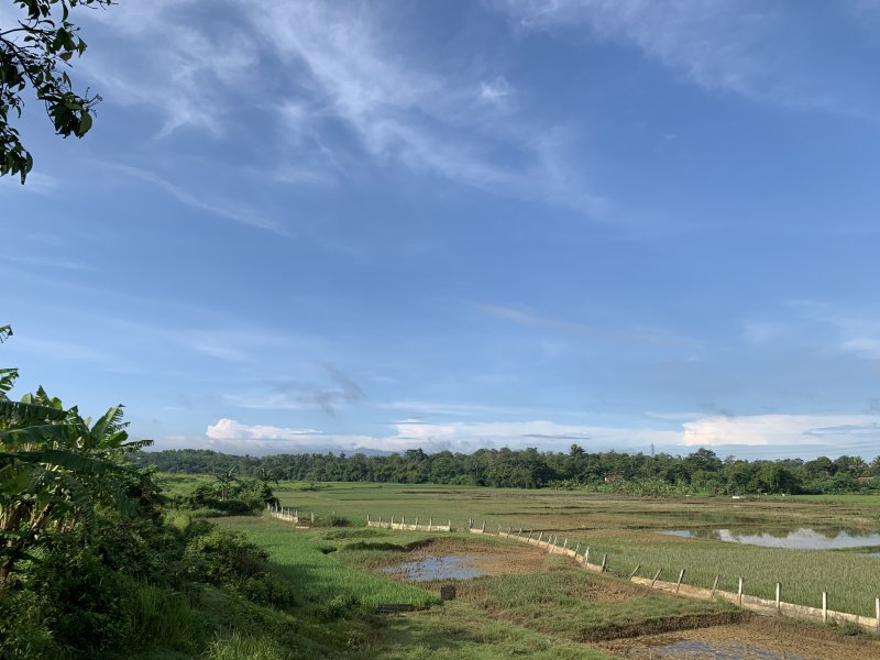 D01FD096-EC18-4124-B05D-EBC9ADDA48A9.jpeg