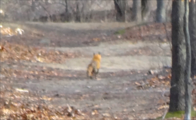 Dickerson Mine07.jpg