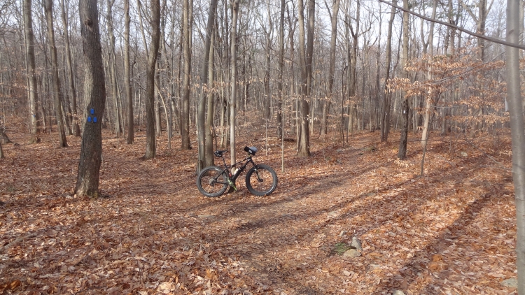 Dickerson Mine08.jpg