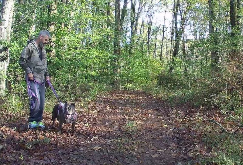 dog2 wingdam.jpg