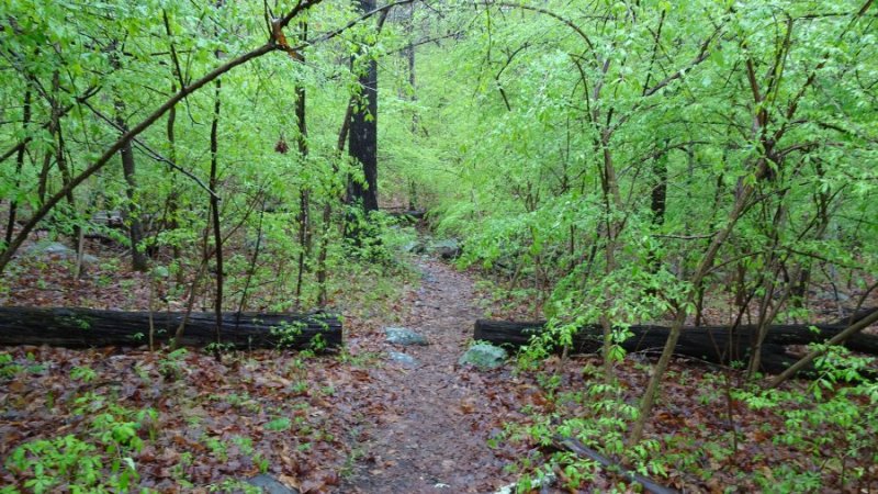 Dsc00112.jpg