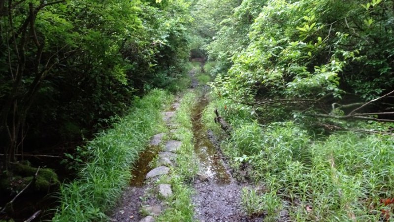 Dsc00473.jpg