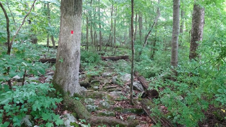 Dsc08640.jpg