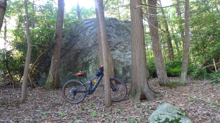 Dsc08669.jpg