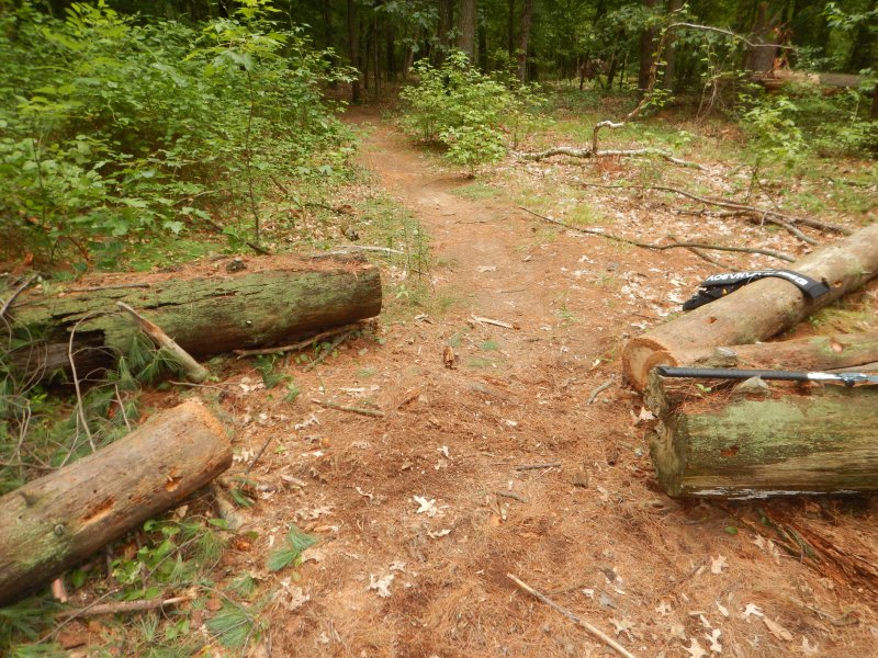 DSCN0853.JPG