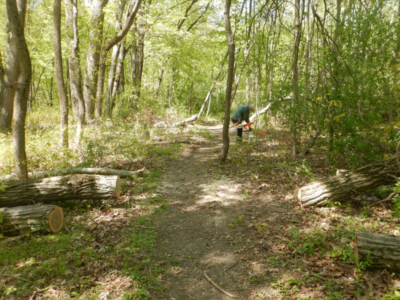 DSCN2390.JPG