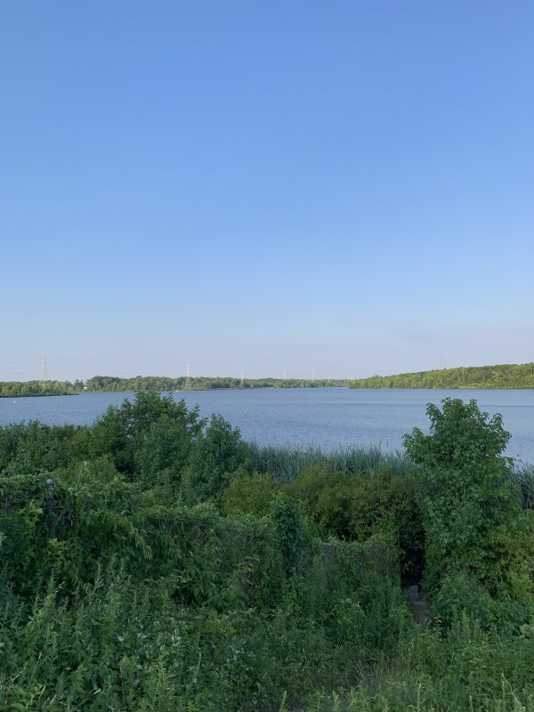 F771D3BE-9631-482B-A966-F0E3E756A232.jpeg
