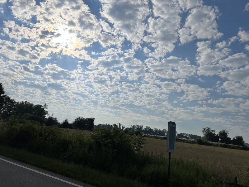 FB31F1ED-AC2D-4B79-82EA-71CEDB9786E5.jpeg