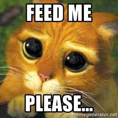 feed me.jpg