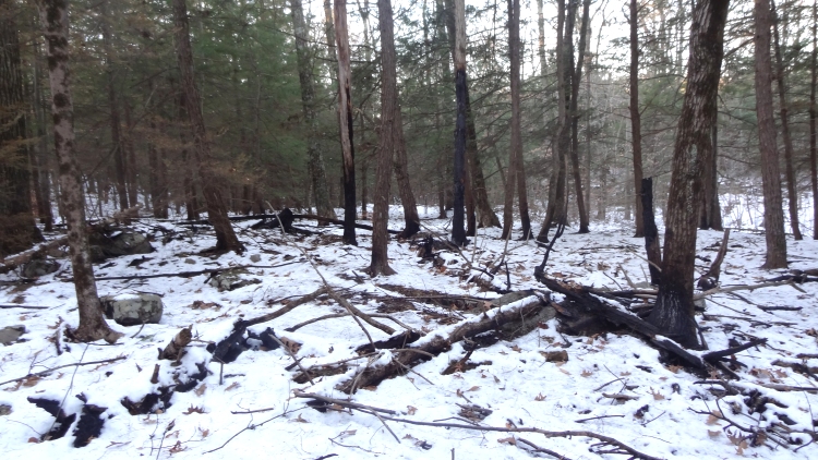 Fire Twin Bridge01.jpg