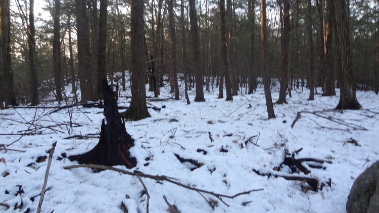 Fire Twin Bridge02.jpg