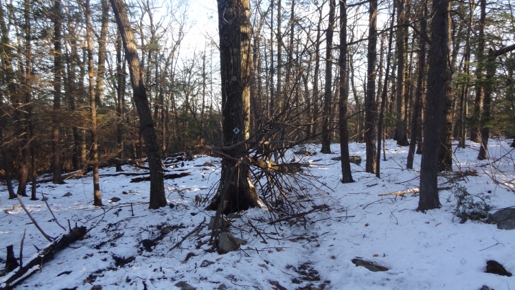 Fire Twin Bridge08.jpg