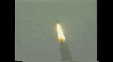 FirmBrilliantIndianpalmsquirrel-small.gif