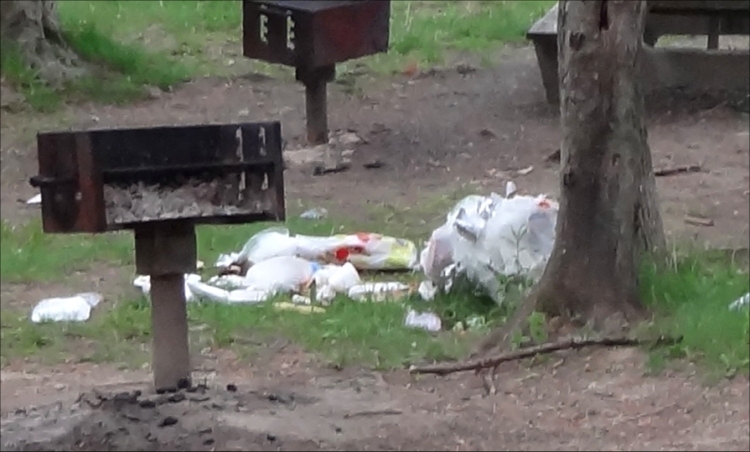 garbage example07.jpg