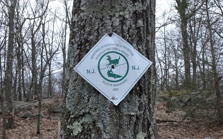 Green T01.jpg