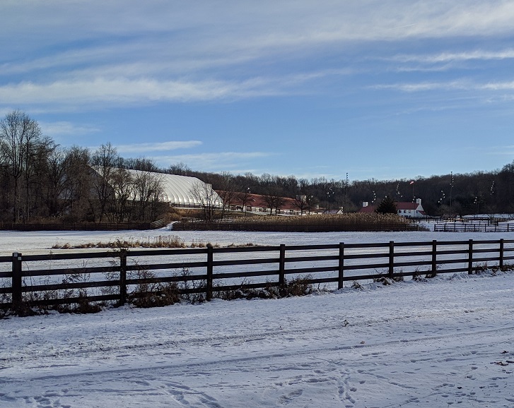 Horse LIves Matter G_20180120_090919-01.jpg