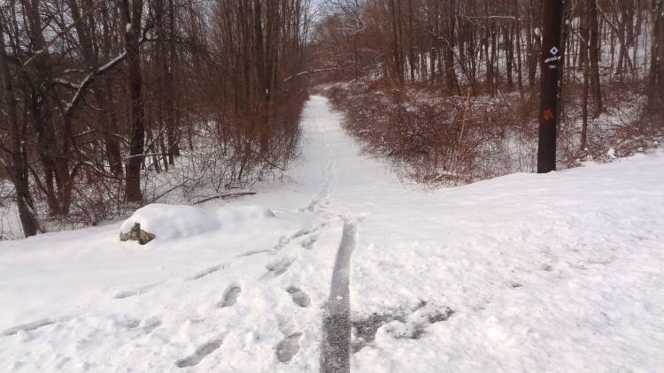 Huffster tracks06.jpg