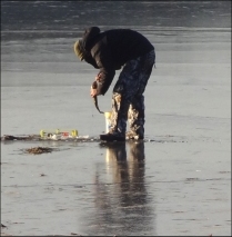 Ice fish.jpg