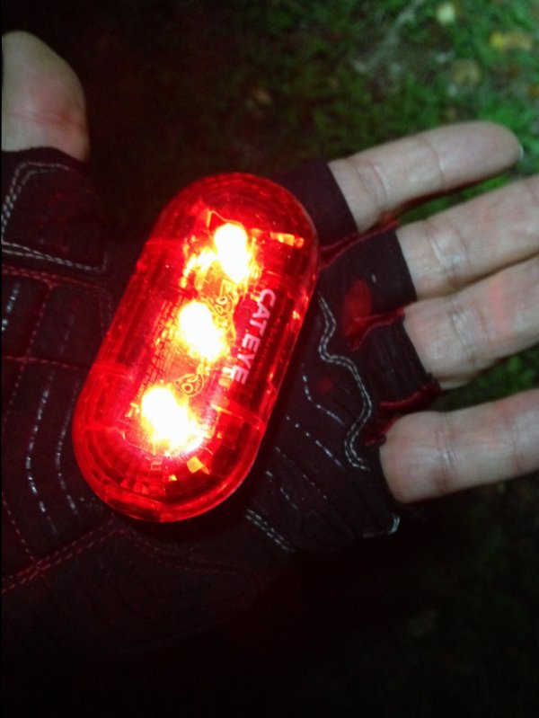 image.jpeg image.jpeg