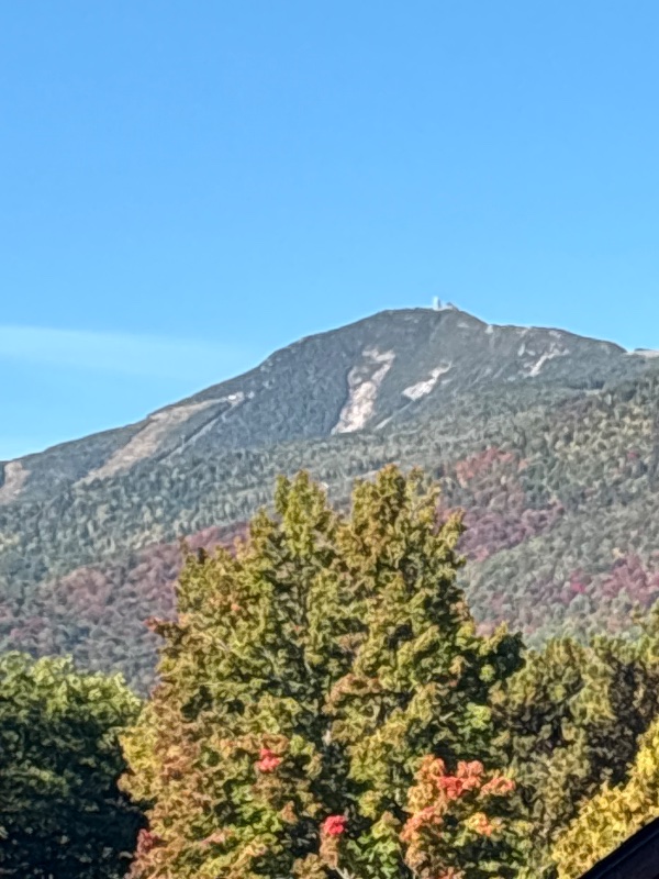 IMG_0137.jpeg