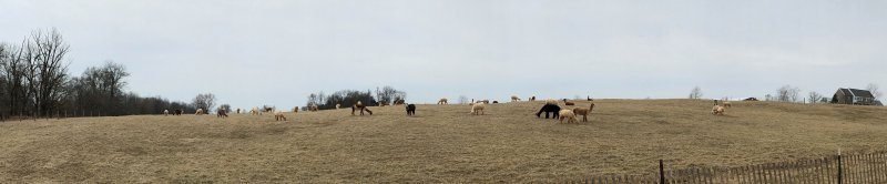 IMG_0150 - Edited.jpg