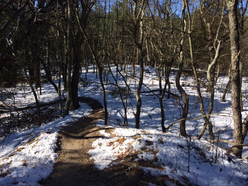 IMG_0906.JPG