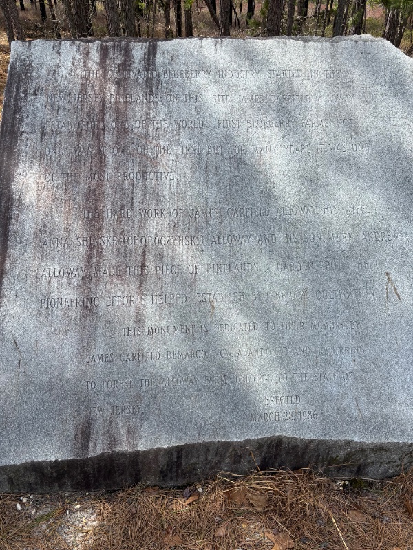 IMG_1345.jpeg