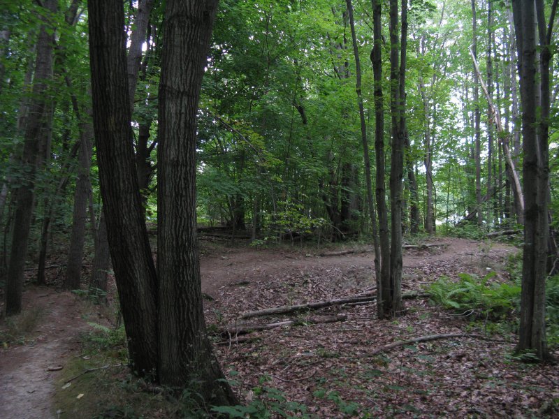 IMG_1349.JPG