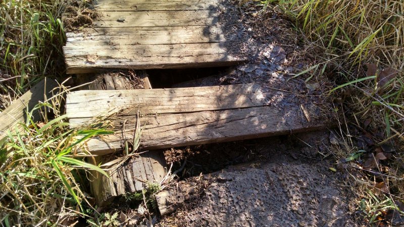 IMG_20151207_115417374_HDR.jpg IMG_20151207_115417374_HDR.jpg