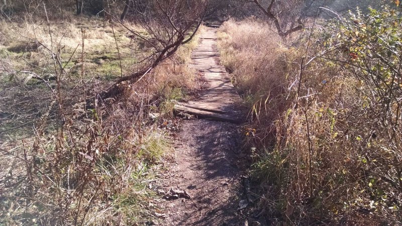 IMG_20151207_115426180.jpg IMG_20151207_115426180.jpg