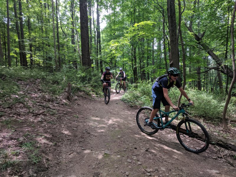 IMG_20190717_130010.jpg