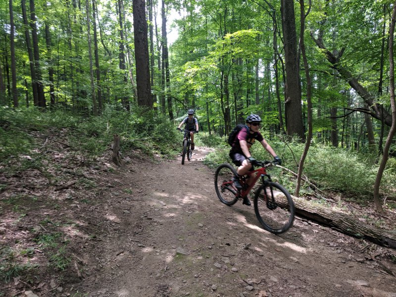 IMG_20190717_130011.jpg