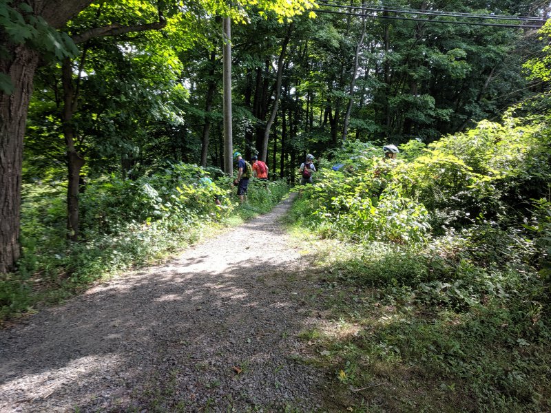 IMG_20190722_104814.jpg